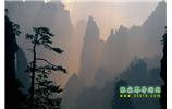 張家界國家森林公園、寶峰湖/黃龍洞、鳳凰古城、三峽八日游